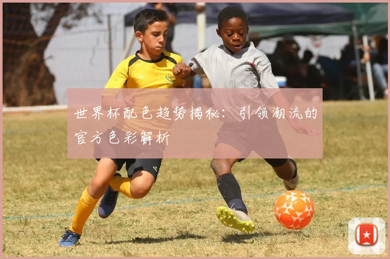 世界杯配色趋势揭秘：引领潮流的官方色彩解析
