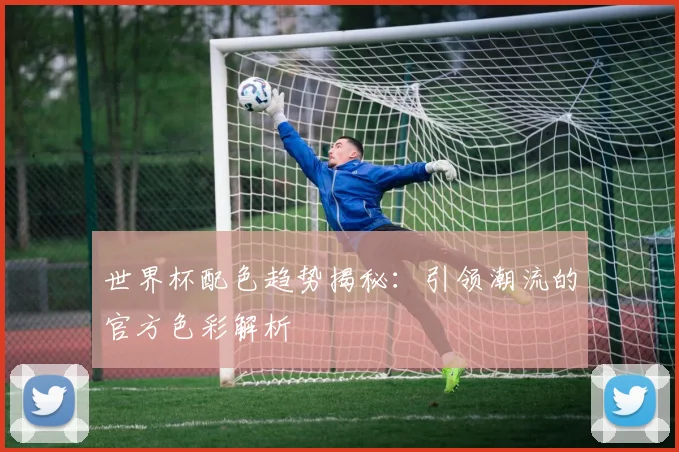 世界杯配色趋势揭秘：引领潮流的官方色彩解析